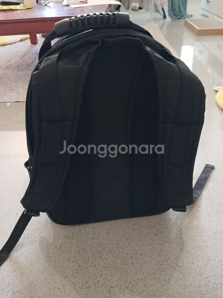 포켓몬볼 고양이 이동장--1