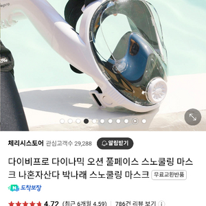 스노쿨링 마스크 팝니다