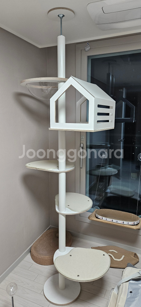 캣타워--1