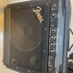 펜더 fender bassman60 베이스 엠프 판