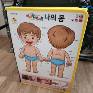 세이펜 엄마랑 벽그림