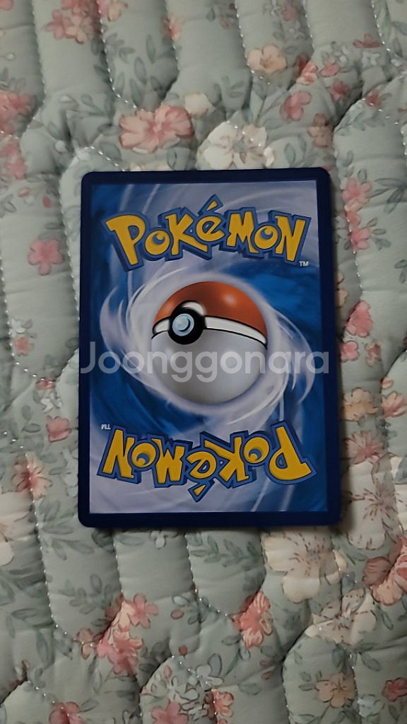 포켓몬 카드 제라오라v--1