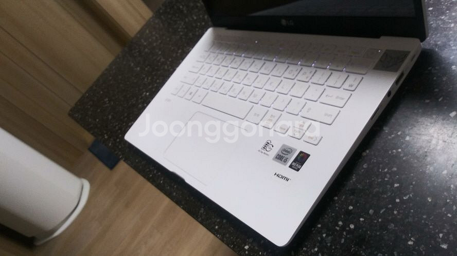 LG 10세대 올뉴그램 개인 소장용 화이트/램16G--5