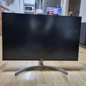 LG 27인치 모니터 27MN60T-W