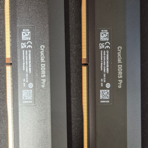 Crucial DDR5 Pro 램 2개 16gx2 팜