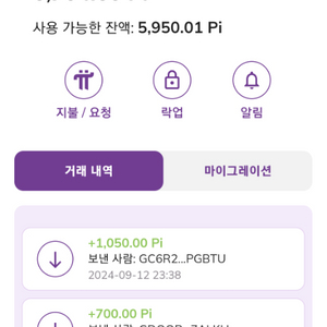 파이 네트워크 picoin 팝니다