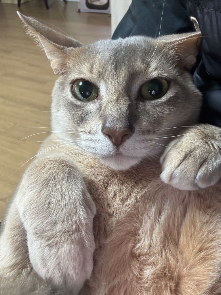 프로파일