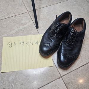 풋조아 280