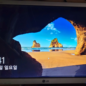 LG FLATRON LCD 모니터 20인치