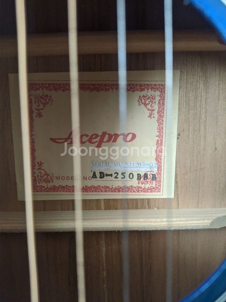 Acepro AD-250 통기타 어쿠스틱 기타--1