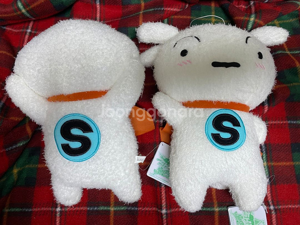 슈퍼시로 흰둥이 누이--1