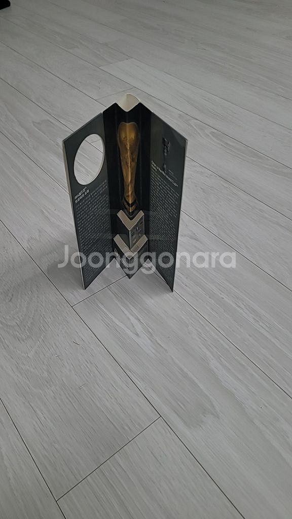 2002년 한일 월드컵 기념 금 배지--1