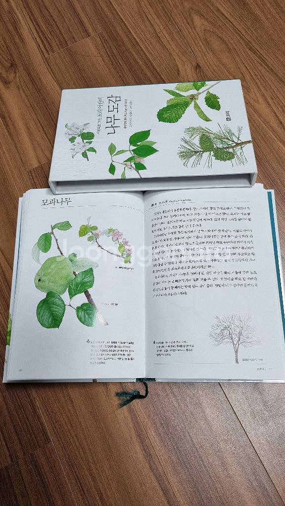 국어사전,나무도감,새도감 택포 3만원--3
