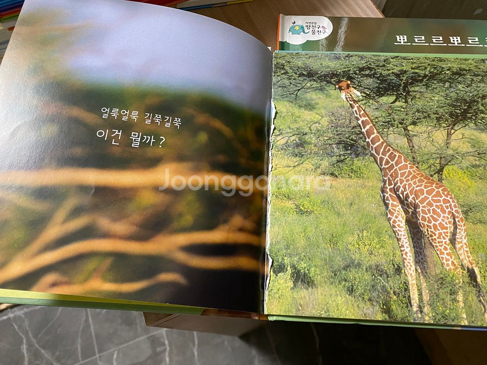 자연관찰 땅친구물친구 택포--3