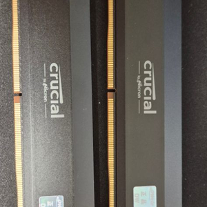 Crucial DDR5 Pro 램 2개 16gx2 팜