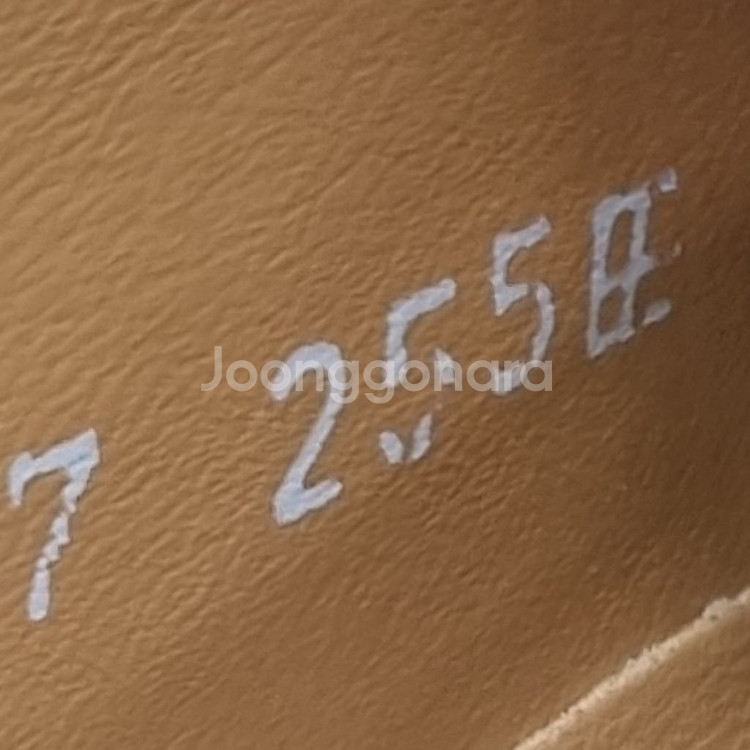 브루노말리 남성정장구두 255--5