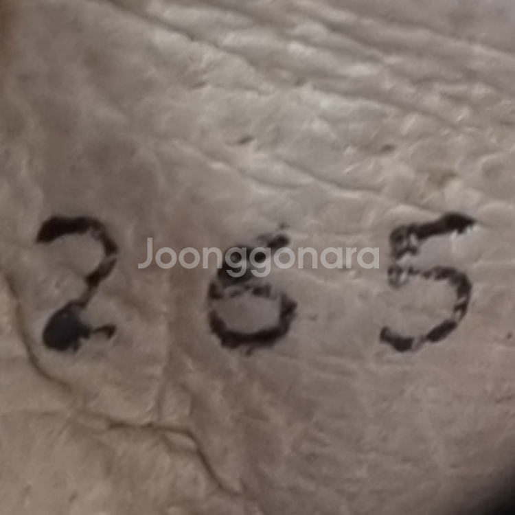 이글아이드 남성골프화 265--5