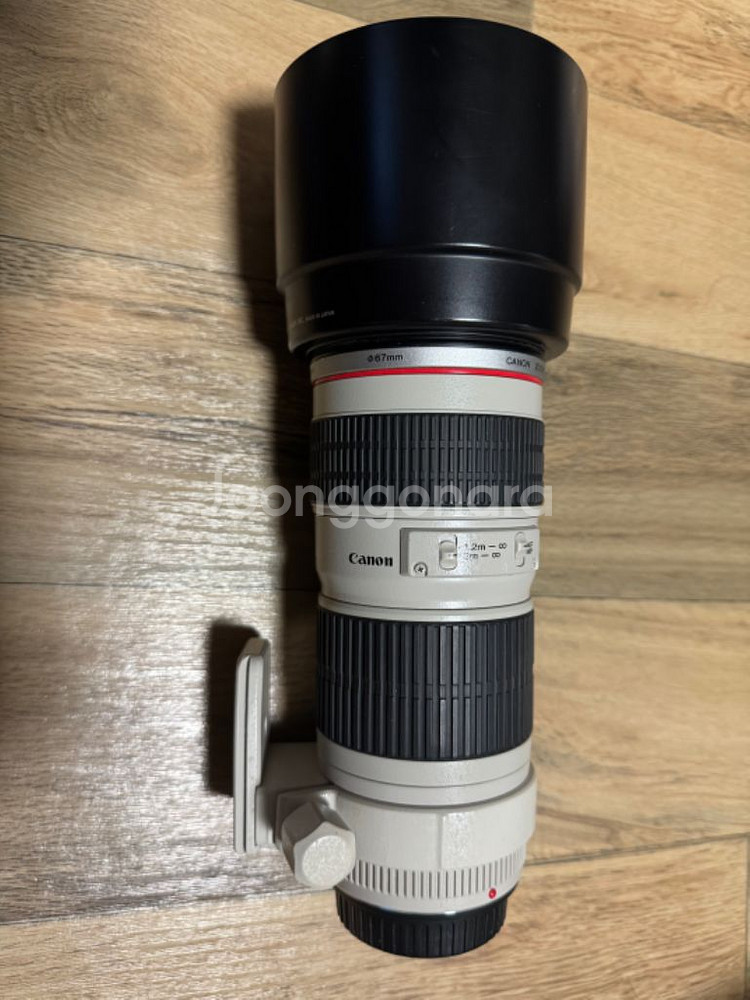 EF70-200mm F4L USM(애기백통)--1