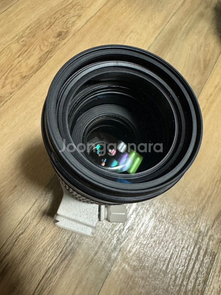 EF70-200mm F4L USM(애기백통)--2