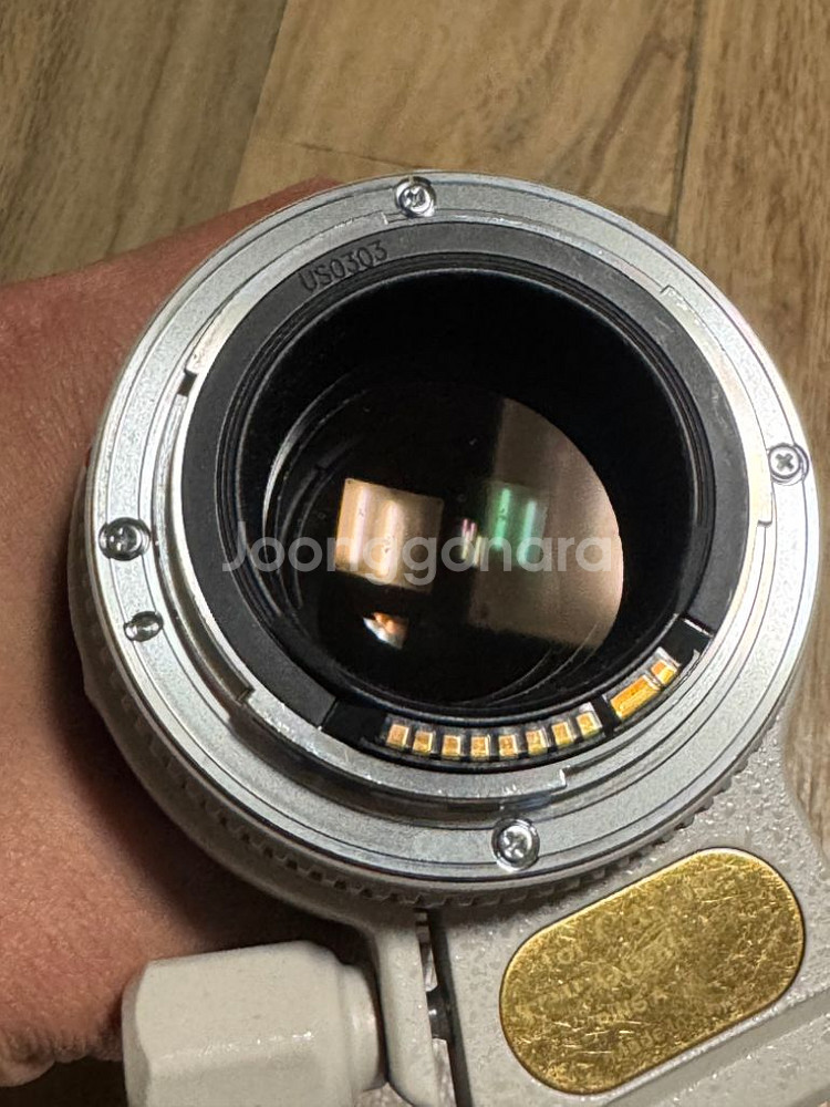 EF70-200mm F4L USM(애기백통)--3