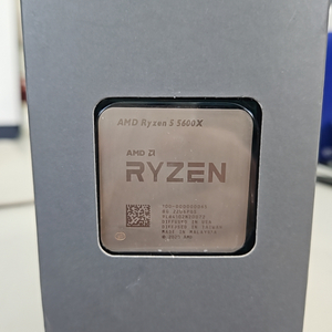 AMD 라이젠 5 5600X