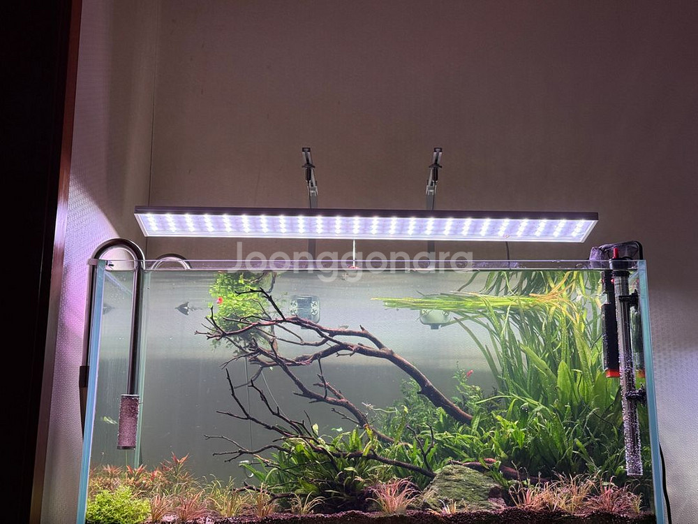 모비딕 관상어용 스텔라 아쿠아 라이트 MU-900X--2