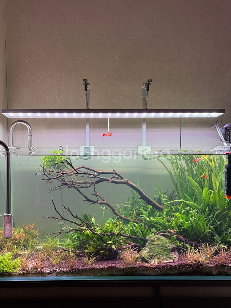 모비딕 관상어용 스텔라 아쿠아 라이트 MU-900X--1