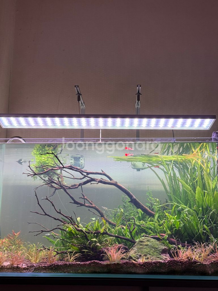 모비딕 관상어용 스텔라 아쿠아 라이트 MU-900X--3