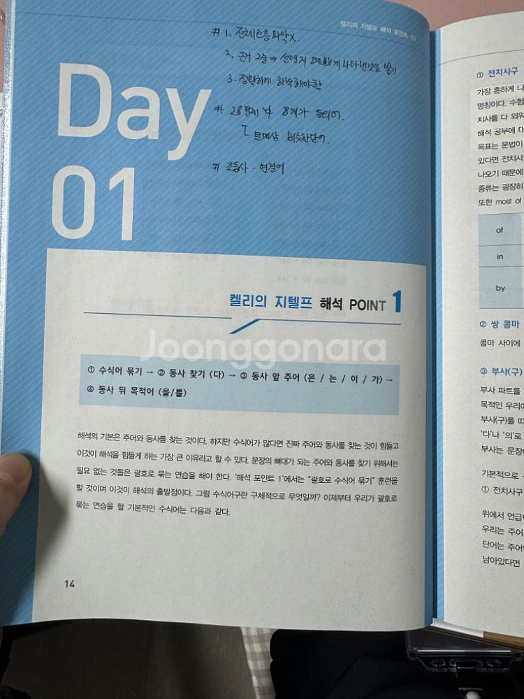 켈리 지텔프 해석 포인트--2