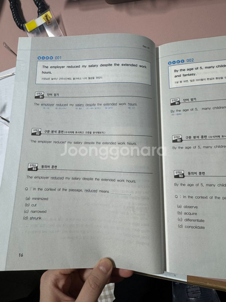 켈리 지텔프 해석 포인트--3