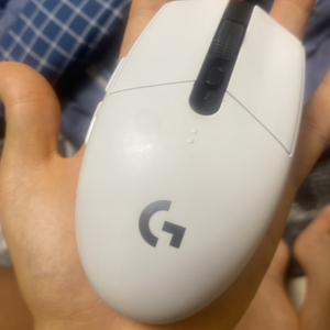 g304 마우스