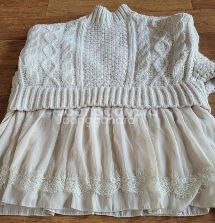 자라 레이스니트--2