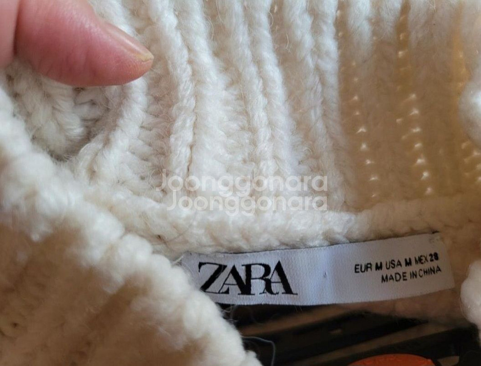 자라 레이스니트--3