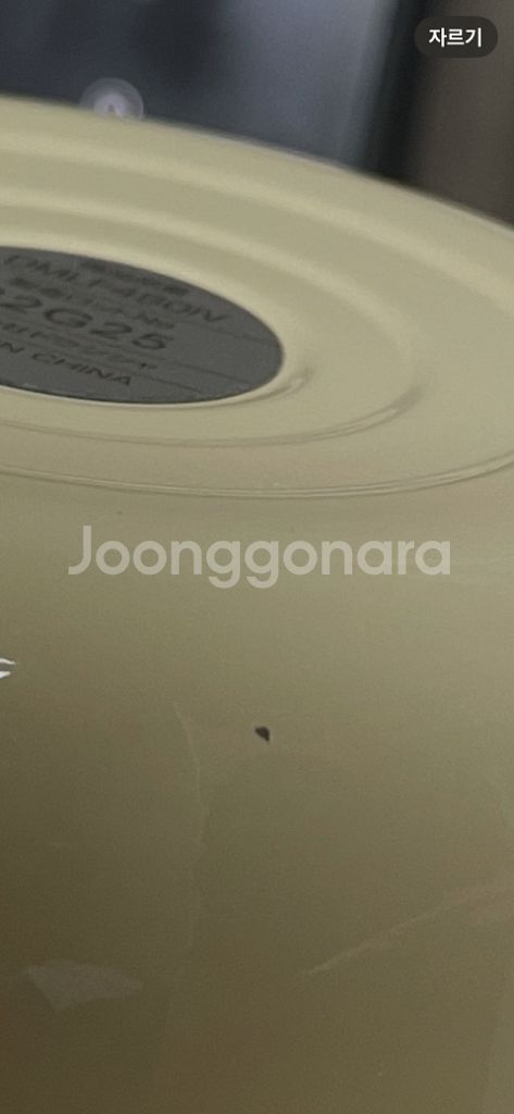 모슈 푸드자--4