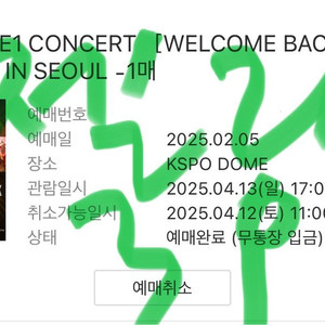 2ne1 투애니원 콘서트 막콘 양도