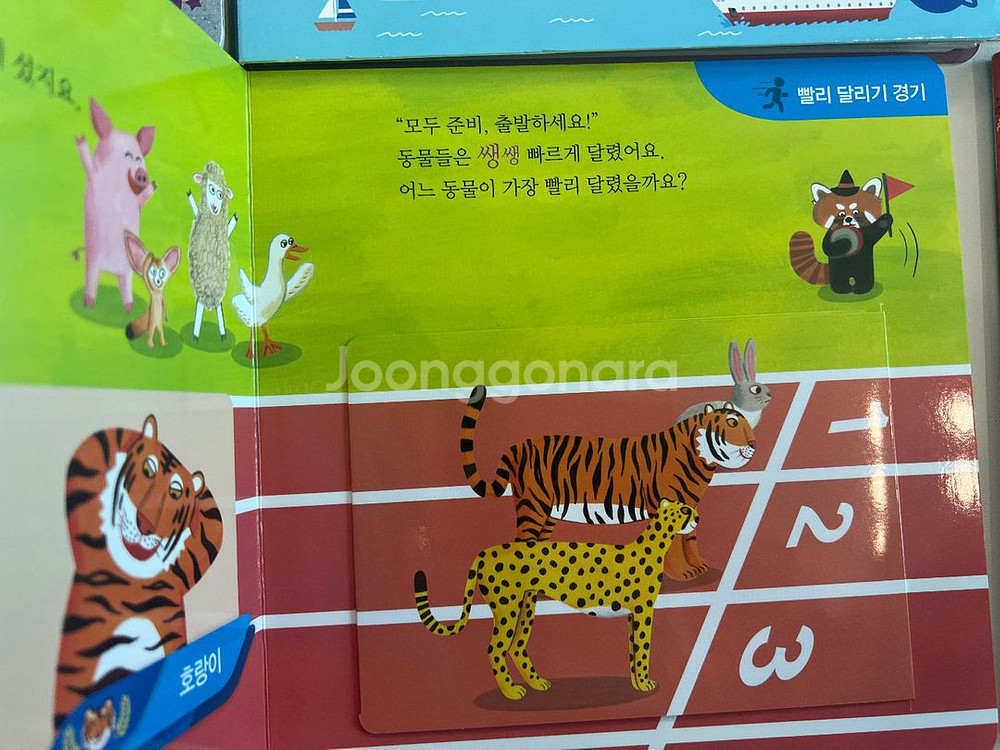 빅키즈 지식자람 상태좋음 택포--7