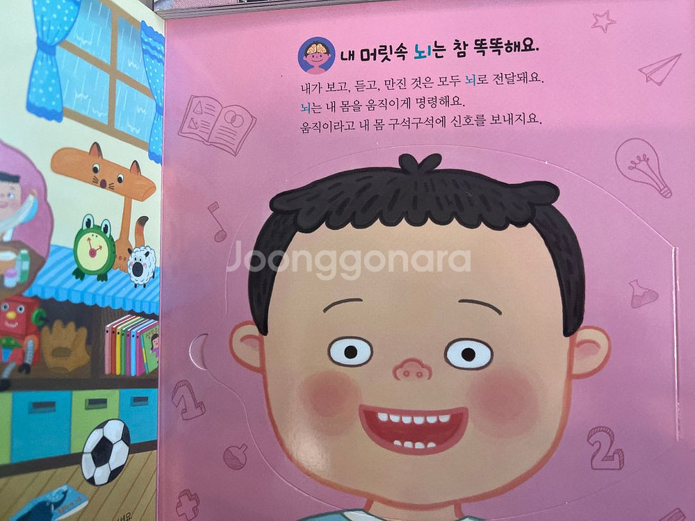 빅키즈 지식자람 상태좋음 택포--6