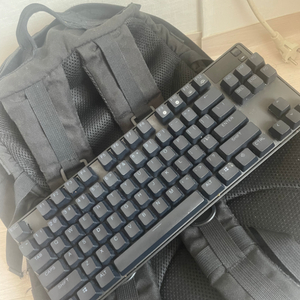 apex pro tkl 팝니다