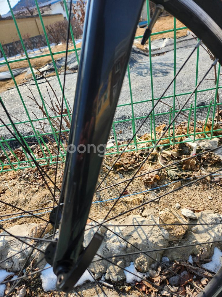 메리다 스컬트라 2021--1