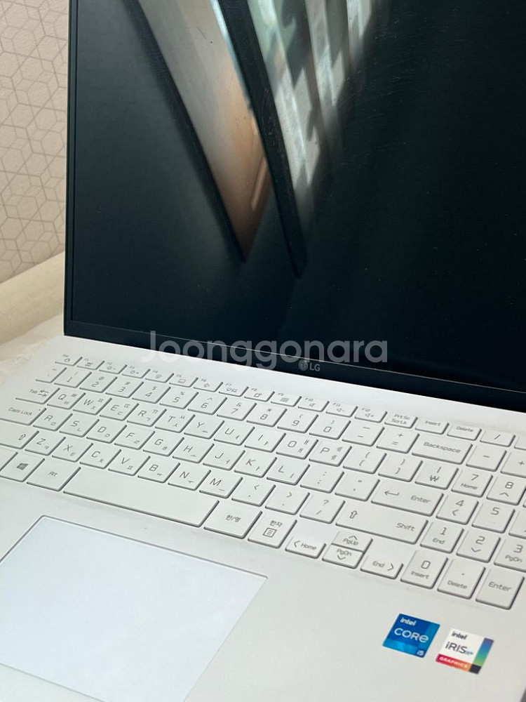 LG전자 2021 그램16 16ZD90P-GX50K--2