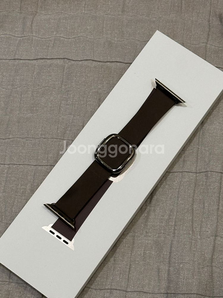 애플워치10 티타늄 내추럴 애케플--4