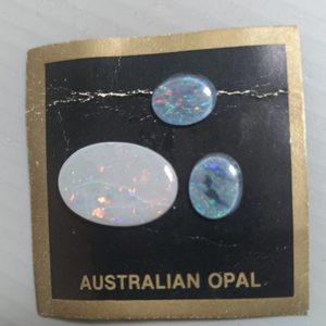 호주 OPAL