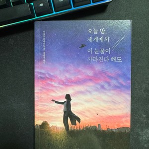 오늘 밤 세계에서 이 눈물이 사라진다 해도 소설책