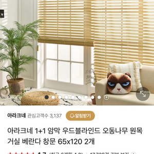 암막 블라인드 팝니다