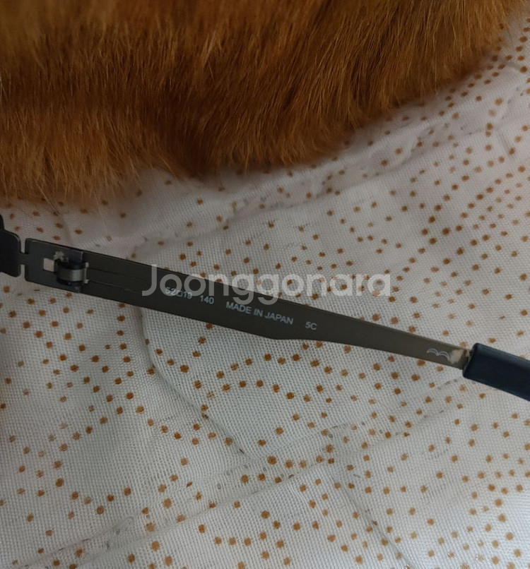 pezverde 페즈베르데 안경테 뿔테 티타늄 호피--6