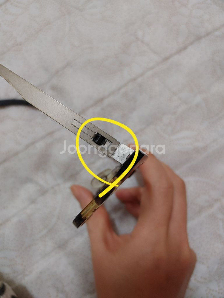 pezverde 페즈베르데 안경테 뿔테 티타늄 호피--7