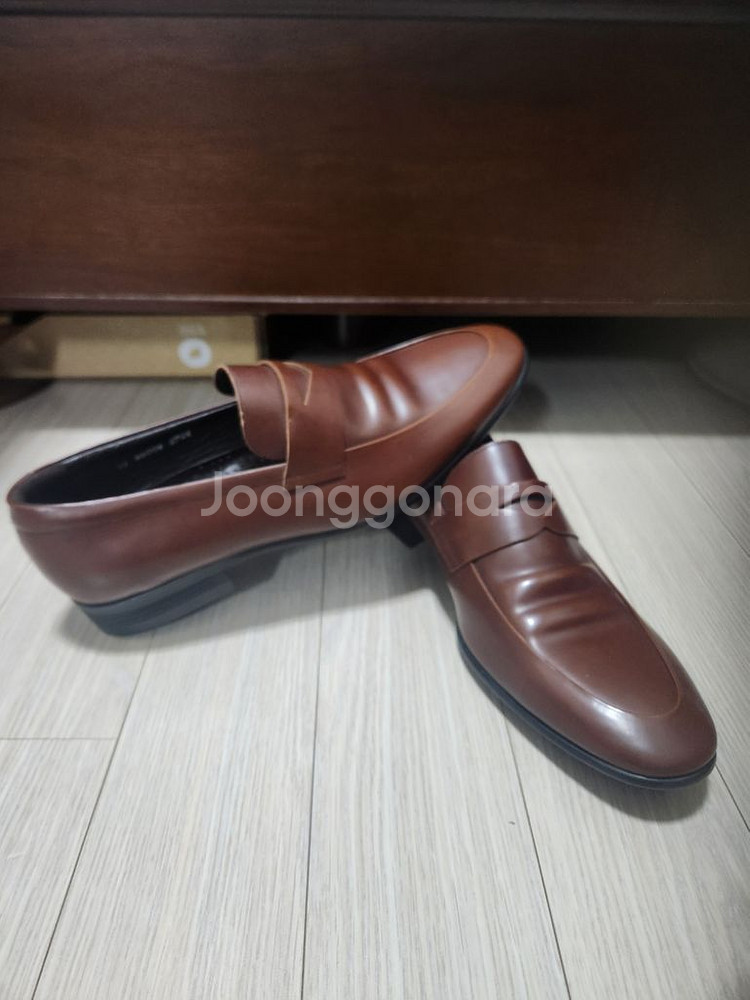 텐디275--3