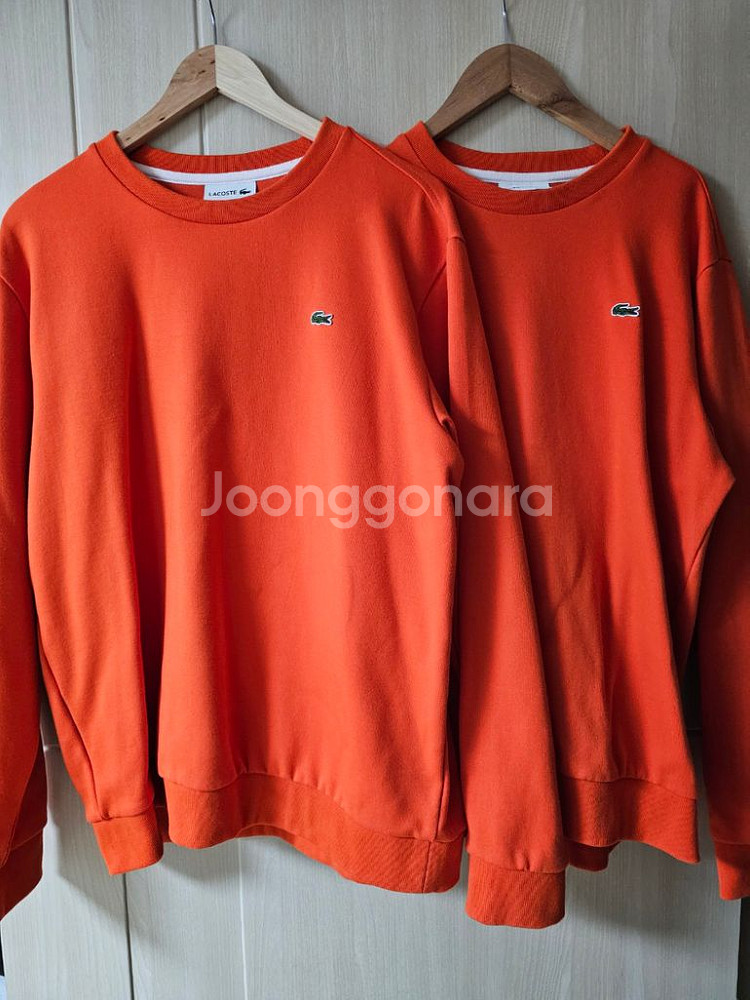 라코스테 맨투맨 (L,M)--1