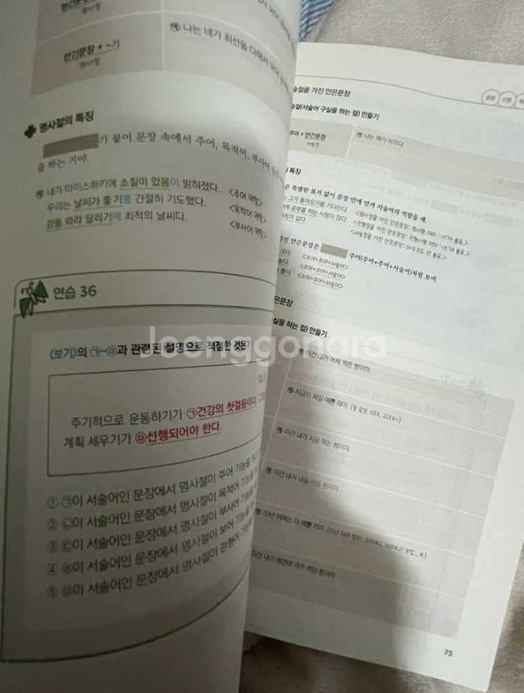 윤혜정의 개념의 나비효과--1