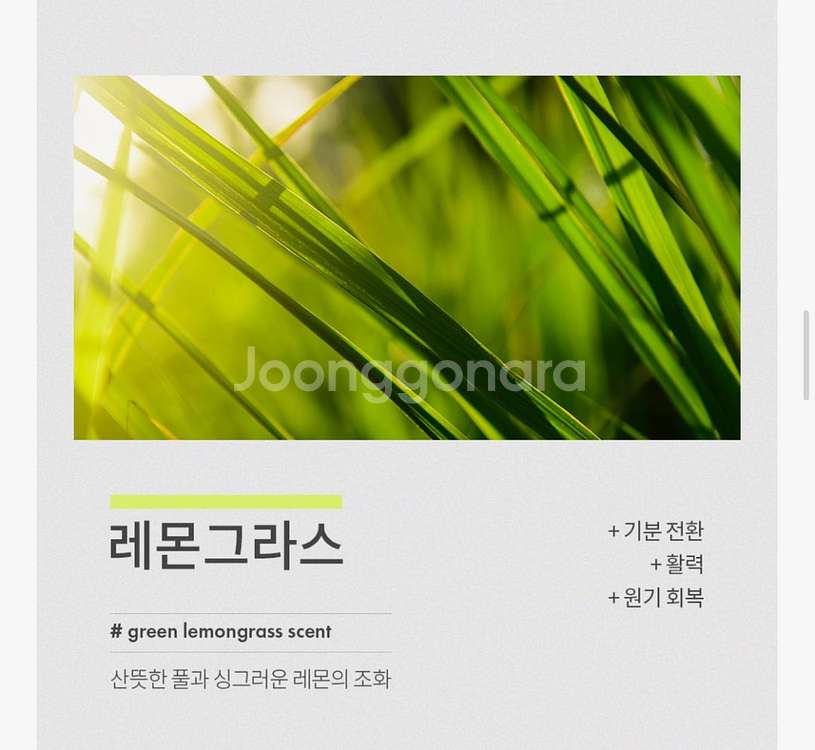(선물포장,무료배송) 아로마오일 벽난로 캔들--3